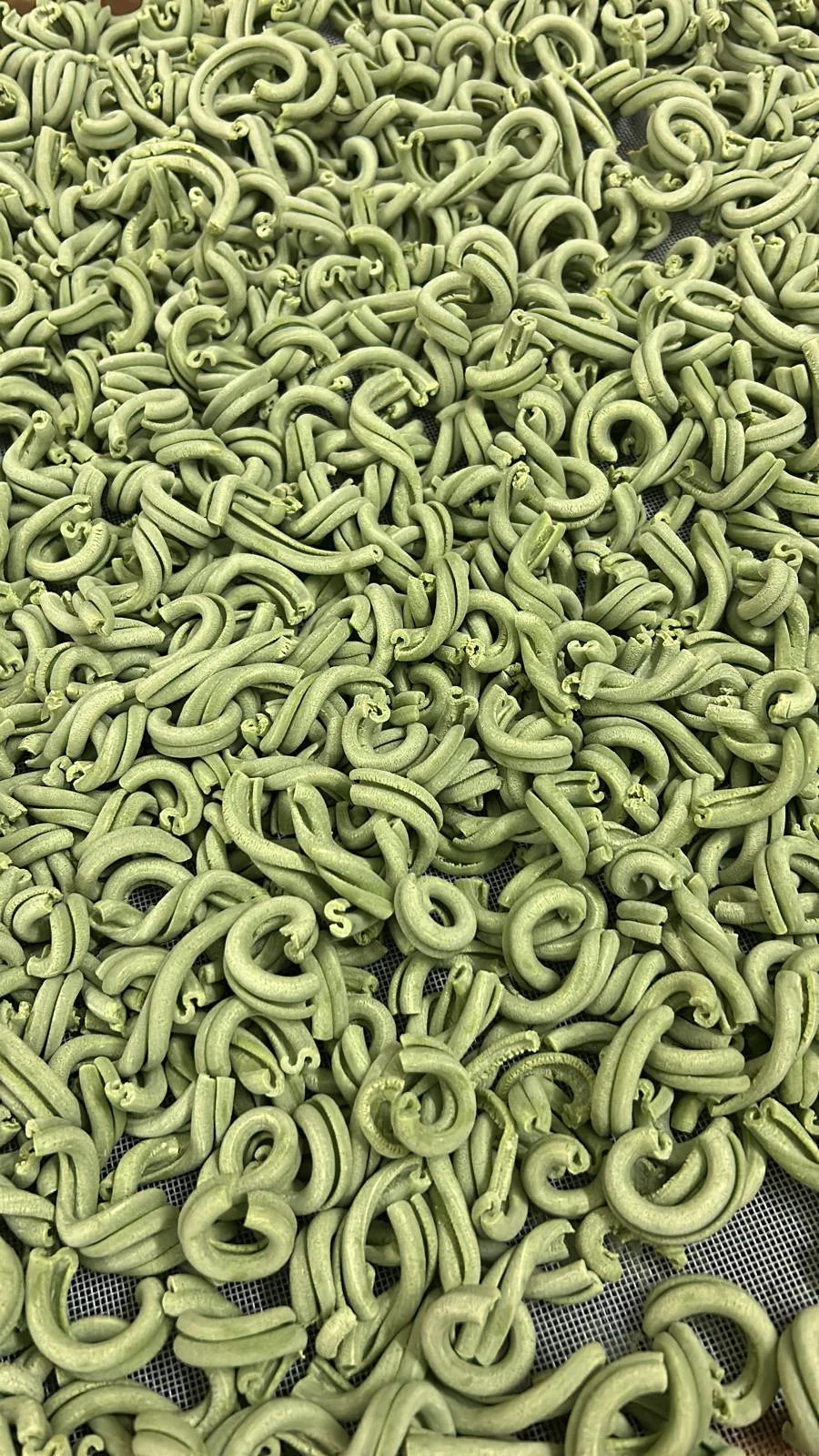 Formato speciale di pasta verde