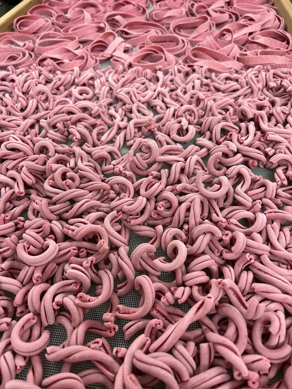 Pasta fresca disposta sui filari prima dell’essiccazione