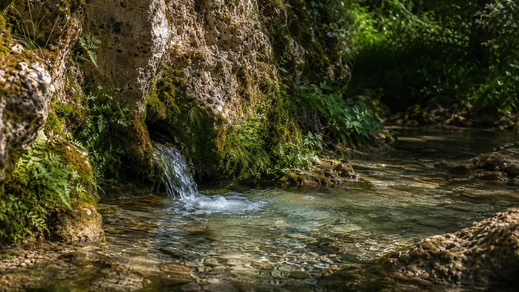 Acqua limpida di una sorgente tra il tufo e la vegetazione